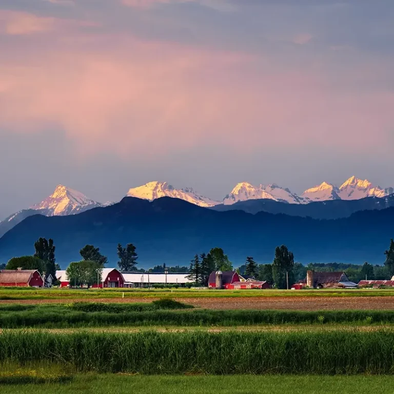 A view of a farm with barns, and snow capped mountains in the background.